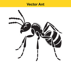 A vector ant