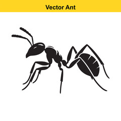 A vector ant