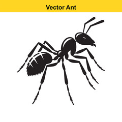 A vector ant