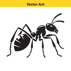 A vector ant