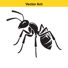 A vector ant