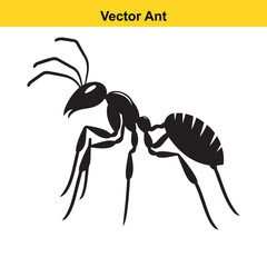 A vector ant