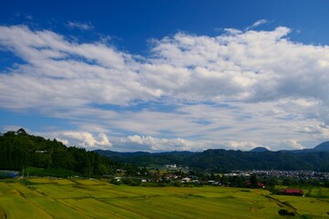 Obraz premium くぬぎ平の棚田。朝日、山形、日本。9月中旬。