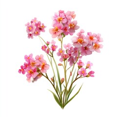 Beautiful pink flowers arranged elegantly, perfect for decoration and nature-themed designs.
