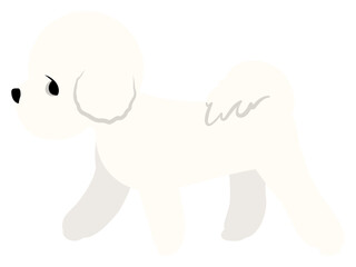 강아지 비숑 플랫 일러스트레이션