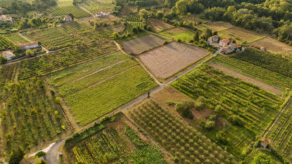 Beautiful countryside landscape in southern France.