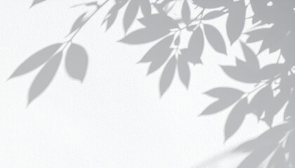 Shadow play of leaves natural setting photography calm environment close-up view artistic concept