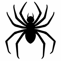 Flat Spider Silhouette Vector Art