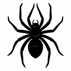 Flat Spider Silhouette Vector Art
