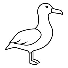 Graceful Albatross Outline Art