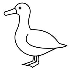 Graceful Albatross Outline Art
