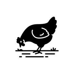 A Chicken Standing on a Dirt Path with a Feathered Tail Pecking at the Ground