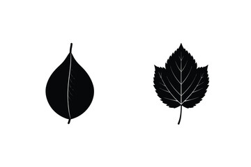 Two Abstract Leaf Silhouettes Black And White Botanical Illustration On White Background