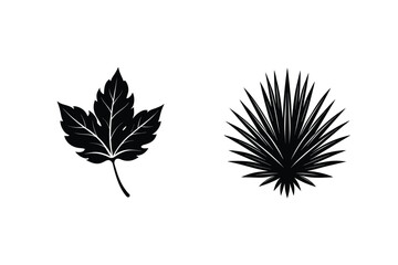 Two Contrasting Leaves Vector Illustration Maple And Palm Frond Black Silhouettes