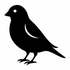 Graceful Canary Silhouette in Vector
