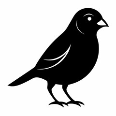 Graceful Canary Silhouette in Vector