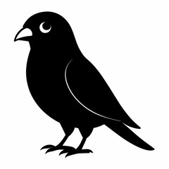 Graceful Canary Silhouette in Vector
