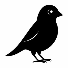 Graceful Canary Silhouette in Vector