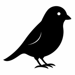Graceful Canary Silhouette in Vector
