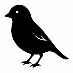 Graceful Canary Silhouette in Vector