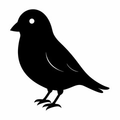 Graceful Canary Silhouette in Vector