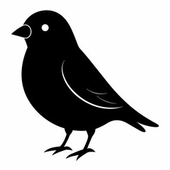 Graceful Canary Silhouette in Vector