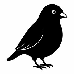 Graceful Canary Silhouette in Vector