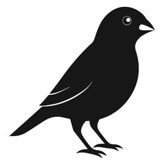 Graceful Canary Silhouette in Vector