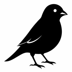 Graceful Canary Silhouette in Vector