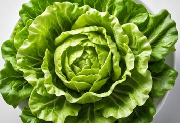 Fototapeta premium On the white plate there is a leafy green vegetable