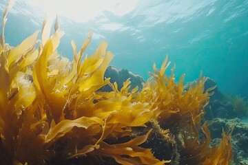 Underwater kelp forest vibrant yellow