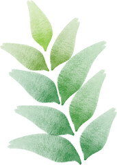 green leaves 