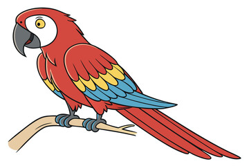 Colorful Red Macaw bird on white background.
