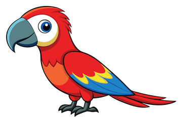 Colorful Red Macaw bird on white background.