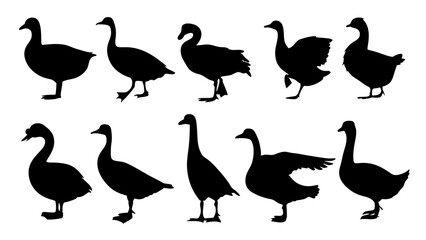 set of duck silhouette vector on tranparent background