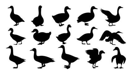 set of duck silhouette vector on tranparent background