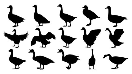 set of duck silhouette vector on tranparent background