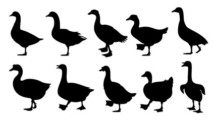set of duck silhouette vector on tranparent background