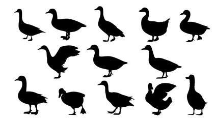 set of duck silhouette vector on tranparent background