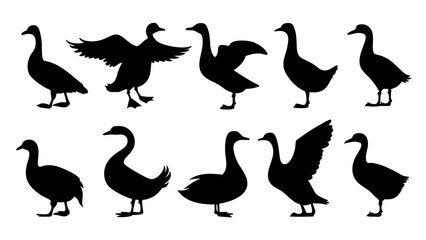 set of duck silhouette vector on tranparent background