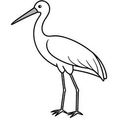 Graceful Stork Line Drawing