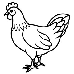Minimal Chicken Outline Artwork