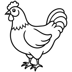 Minimal Chicken Outline Artwork