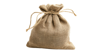 Fresh Onion Bag Isolated on White Background for Food Photography