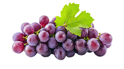 Vibrant Ripe Juicy Purple Grape Cluster Isolated on White Background