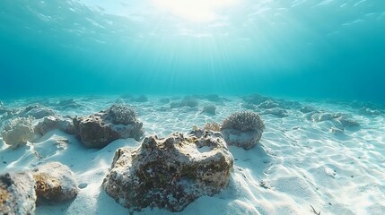 Sunlit shallows, sandy seabed with scattered coral formations