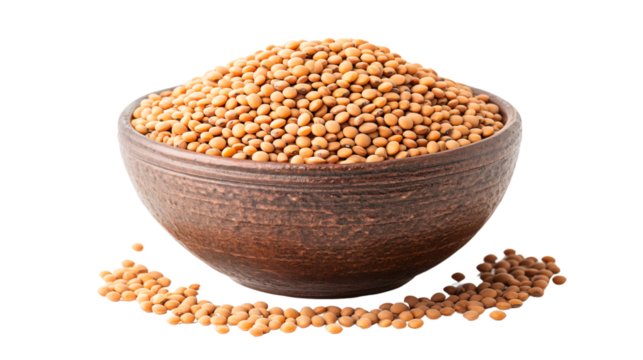 Silhouette of Black Urad Dal Lentil Beans in a Bowl - Dark and Elegant Food Photography