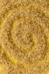 ARROZ (Oryza Sativa)