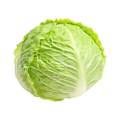 Fototapeta premium Fresh Cabbage: A vibrant, crisp, and fresh head of cabbage, captured with stunning detail. Its intricate textures and vibrant green hues are a testament to nature's bounty.