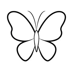 Butterfly Outline Icon Vector Illustration Airy and Elegant